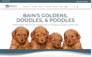 Bainkennels.com Screenshot 2024-05-25 01:01:39