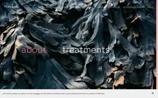 Haeckels.house Screenshot 2024-06-29 22:51:45