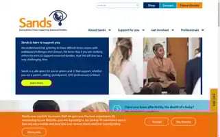 Sands.org.uk Screenshot 2024-06-29 14:38:52