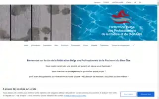 Zwembad-bouwers.be Screenshot 2024-07-09 05:13:17