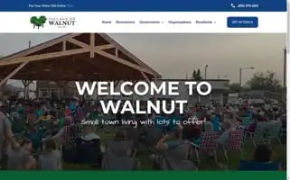 Villageofwalnut.org Screenshot 2024-07-06 04:05:18