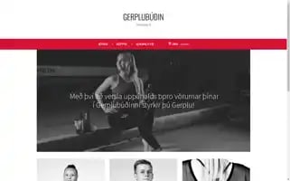 Gerplubudin.is Screenshot 2024-05-22 09:59:28