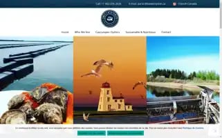 Sweetoyster.ca Screenshot 2024-05-20 16:11:05