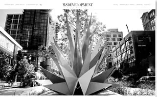 Wsdevelopment.com Screenshot 2024-05-15 06:07:45