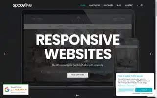 Spacefivecreative.co.uk Screenshot 2024-07-04 03:53:15