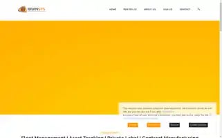 Bransys.com Screenshot 2024-06-29 22:25:15