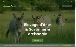 Asineriedepersac.fr Screenshot 2024-05-23 01:47:49