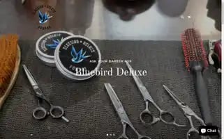 Bluebirddeluxe.com Screenshot 2024-04-19 09:04:46