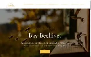 Baybeehives.com Screenshot 2024-05-20 08:43:22