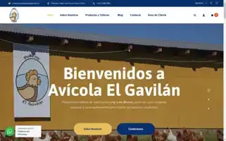 Pollitaselgavilan.cl Screenshot 2024-05-21 19:18:03