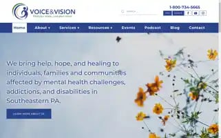 Voiceandvisioninc.org Screenshot 2024-06-13 18:44:08