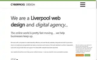 Cyberfrogdesign.co.uk Screenshot 2024-06-29 15:43:20