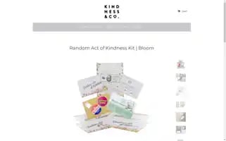 Kindnessandco.com Screenshot 2024-05-05 07:04:44