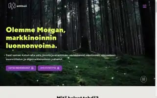 Morgan.fi Screenshot 2024-06-16 23:44:21