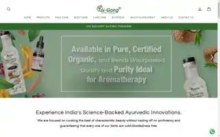 Oigong.com Screenshot 2024-05-23 15:42:07