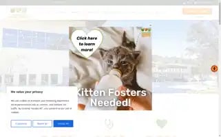 Jaxhumane.org Screenshot 2024-05-12 12:34:53