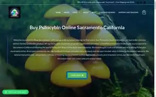 Psilocybinshop.net Screenshot 2024-05-21 03:14:00