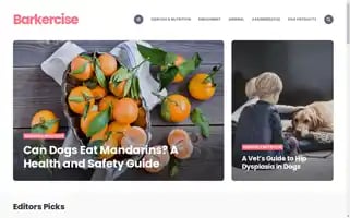Barkercise.com Screenshot 2024-05-15 13:31:27