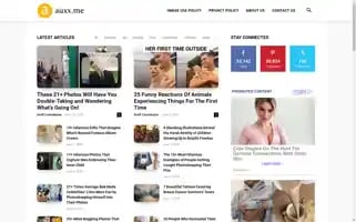 Auxx.me Screenshot 2024-06-13 03:21:56