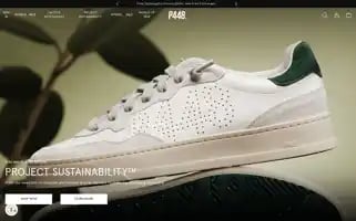 P448.com Screenshot 2024-05-04 08:41:32