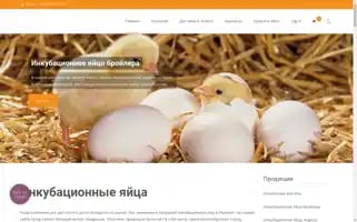 Incubation.in.ua Screenshot 2024-05-21 05:23:57