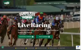 Tampabaydowns.com Screenshot 2024-05-14 04:46:39