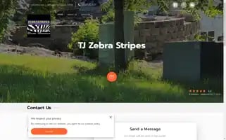 Tjzebrastripes.com Screenshot 2024-04-23 23:59:49
