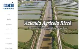 Aziendaagricolaricco.it Screenshot 2024-06-26 17:00:20