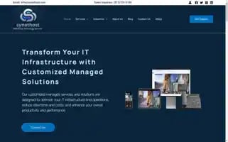 Synethost.com Screenshot 2024-06-27 13:38:20