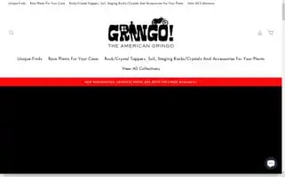 Theamericangringo.com Screenshot 2024-04-16 01:28:16