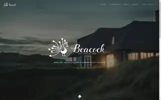 Beacock.fr Screenshot 2024-06-30 05:42:13