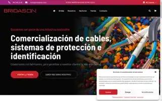 Bridason.com Screenshot 2024-05-24 20:44:34