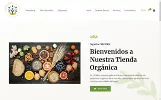 Cerfiden.com Screenshot 2024-05-27 08:04:00