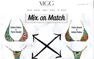 Microgigi.com Screenshot 2024-05-12 22:47:55