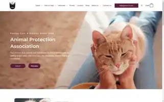 Apa-pets.org Screenshot 2024-06-12 04:08:04