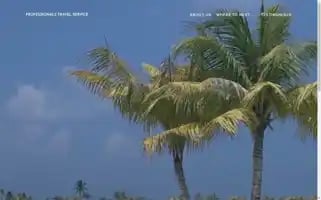 Professionalstravel.com Screenshot 2024-04-15 00:36:51