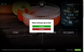 Thegintomytonic.com Screenshot 2024-06-12 01:33:52