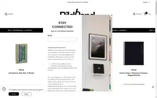 Bildbandberlin.com Screenshot 2024-06-30 03:14:12