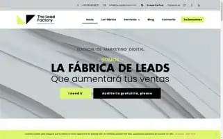 The-leadfactory.com Screenshot 2024-07-10 05:18:29