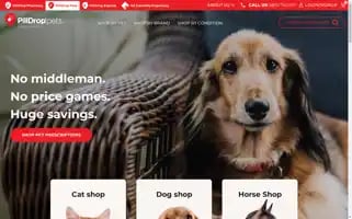 Pilldroppets.co.nz Screenshot 2024-05-03 12:33:36