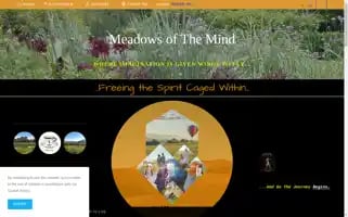 Mindmeadows.com Screenshot 2024-05-19 10:02:12
