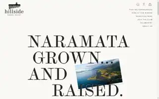 Hillsidewinery.ca Screenshot 2024-07-02 18:36:29