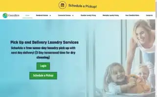 Cleanblink.com Screenshot 2024-07-07 10:58:29