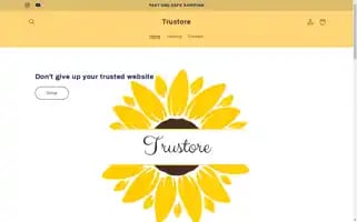 Trustoremy.com Screenshot 2024-05-02 04:49:24