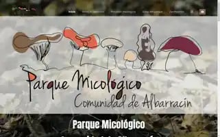 Micologiaalbarracin.es Screenshot 2024-05-20 15:35:29