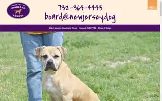 Newjersey.dog Screenshot 2024-05-13 03:09:14