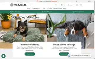 Mollymutt.com Screenshot 2024-05-12 23:40:55