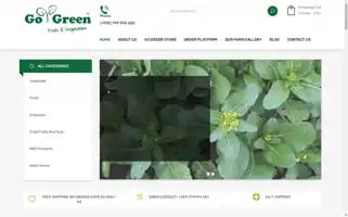 Gogreenmyanmar.com Screenshot 2024-05-29 08:08:28