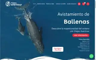 Viajesaventour.com Screenshot 2024-04-26 21:55:55