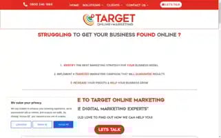 Targetonlinemarketing.co.uk Screenshot 2024-06-13 13:50:31